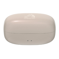 ビクター HA-NP1T-PN ワイヤレスイヤフォン サンドピーチ|エディオン