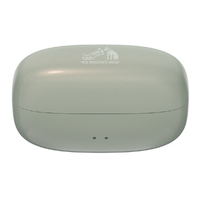 Victor HA-NP1T-GN ワイヤレスイヤホン ソルティオリーブ HA-NP1T-GN JVCケンウッド JVC KENWOOD ビクター Victor