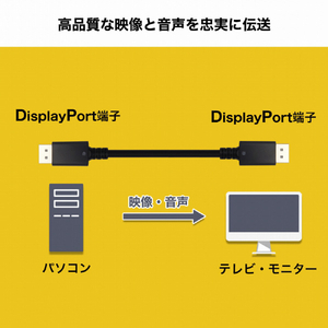 ホ－リック Displayportケーブル 3m DP30-699BB-イメージ3