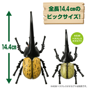 タカラトミー アニア AL-17 ヘラクレスオオカブト ｱﾆｱAL17ﾍﾗｸﾚｽｵｵｶﾌﾞﾄ-イメージ11