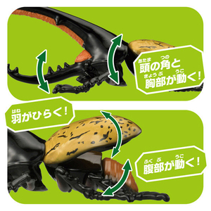 タカラトミー アニア AL-17 ヘラクレスオオカブト ｱﾆｱAL17ﾍﾗｸﾚｽｵｵｶﾌﾞﾄ-イメージ9