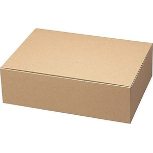 お好みBOX7 ギフトボックス長方 300×210×90 10枚 FCJ576K-EE-526-イメージ1