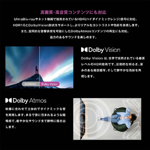 オリオン ORION 65型チューナーレステレビ GLK652U-イメージ6