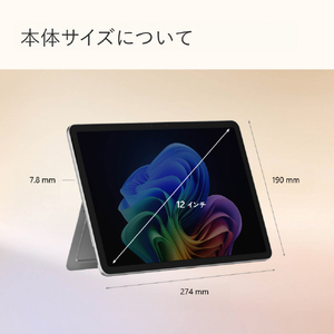 マイクロソフト Surface Pro 12インチ(Snapdragon X Plus/16GB/256GB) Surface Pro プラチナ EP2-27651-イメージ18