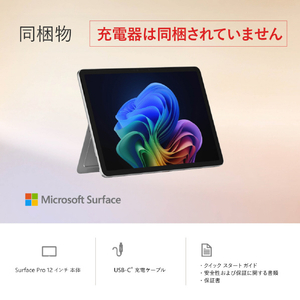 マイクロソフト Surface Pro 12インチ(Snapdragon X Plus/16GB/256GB) Surface Pro プラチナ EP2-27651-イメージ19