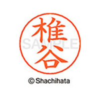 シヤチハタ ネームペン用ネーム シルバー 既製 椎谷 FC47028-X-GPS-1257