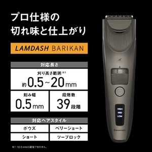 パナソニック ラムダッシュ バリカン チタンシルバー ER-SC6A-S-イメージ4