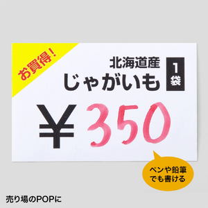 サンワサプライ カラーレーザー用耐水紙・中厚(A4) LBP-WPF15MDPN-イメージ5