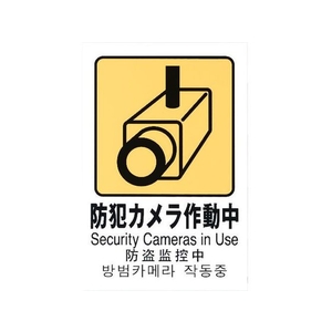 光 多国語ピクトサイン 防犯カメラ作動中 FC530GM-1950178-イメージ1