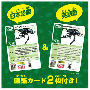 タカラトミー アニア AL-18 アトラスオオカブト ｱﾆｱAL18ｱﾄﾗｽｵｵｶﾌﾞﾄ-イメージ6