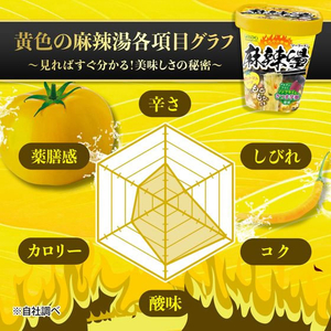 医食同源 医食同源ドットコム/中華房 麻辣タン 黄色のトマト味 87g FCJ711N-イメージ3