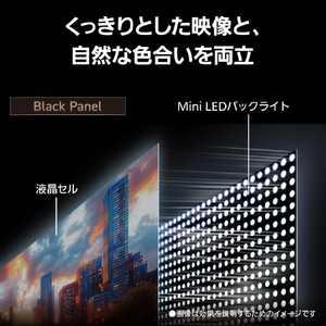 パナソニック 55型 4K対応液晶テレビ VIERA TV-55W93C-イメージ9