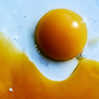 ユニバーサルミュージ ＲＡＤＷＩＭＰＳ／あにゅー 【CD】 UPCH-20702