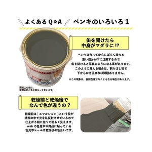 カンペハピオ ハピオフレンズ ダークグレー 0.7L FCB877M-イメージ9