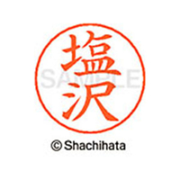 シヤチハタ ネームペン用ネーム シルバー 既製 塩沢 FC47031-X-GPS-1260