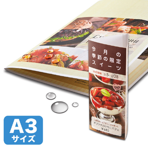 サンワサプライ カラーレーザー用耐水紙・特厚(A3) LBP-WPF22MDPN-A3-イメージ1
