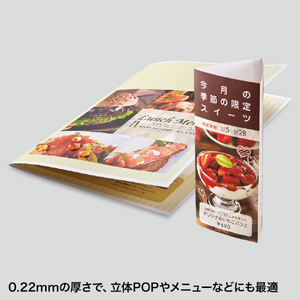 サンワサプライ カラーレーザー用耐水紙・特厚(A3) LBP-WPF22MDPN-A3-イメージ3