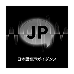 サインハウス B+COM SB6XR ペアユニット ブラック 00082397-イメージ9