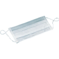 FCL6354-031220001 ポンキーマスク(DX) 100入 |エディオン公式通販