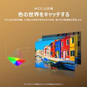 TCL 43V型4Kチューナー内蔵4K対応液晶テレビ P755シリーズ 43P755-イメージ9