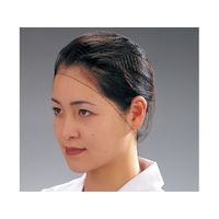 Pal ヘアーネット 100枚入 Sサイズ T20662 FC530LC-1166800