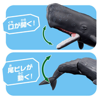 タカラトミー ｱﾆｱAL34ﾏﾂｺｳｸｼﾞﾗ アニア AL-34 マッコウクジラ(水