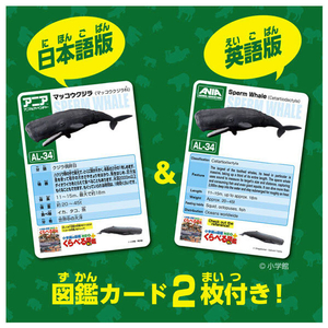 タカラトミー アニア AL-34 マッコウクジラ(水に浮くVer．) ｱﾆｱAL34ﾏﾂｺｳｸｼﾞﾗ-イメージ2