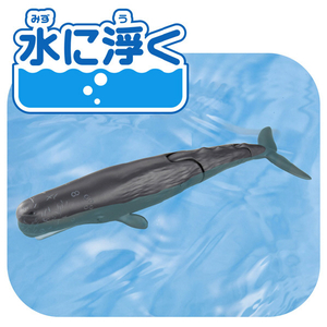 タカラトミー アニア AL-34 マッコウクジラ(水に浮くVer．) ｱﾆｱAL34ﾏﾂｺｳｸｼﾞﾗ-イメージ3
