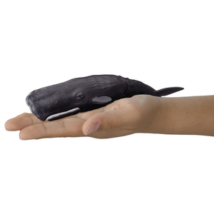 タカラトミー アニア AL-34 マッコウクジラ(水に浮くVer．) ｱﾆｱAL34ﾏﾂｺｳｸｼﾞﾗ-イメージ4