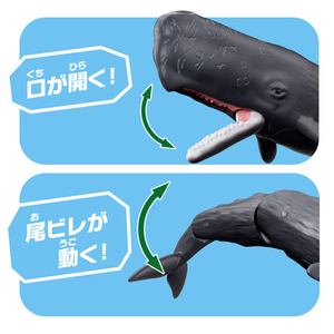 タカラトミー アニア AL-34 マッコウクジラ(水に浮くVer．) ｱﾆｱAL34ﾏﾂｺｳｸｼﾞﾗ-イメージ6