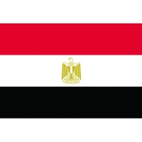 東京製旗 卓上旗(16×24cm)エジプト・アラブ 160×240mm FC860GN-2073662