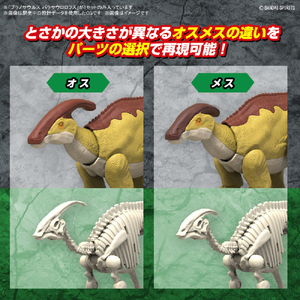 バンダイスピリッツ プラノ パラサウロロフス ﾌﾟﾗﾉｻｳﾙｽ09ﾊﾟﾗｻｳﾛﾛﾌｽ-イメージ8