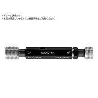 WATERS/メートルねじ用プラグゲージ ISO=新JIS WGPNP-M9X1.0 FC041TV-2500201