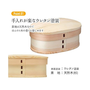 スケーター 曲わっぱ弁当箱 550mL FC486TE-WLB6-イメージ2