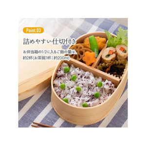 スケーター 曲わっぱ弁当箱 550mL FC486TE-WLB6-イメージ4
