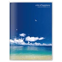 ハクバ Pポケットアルバム（ポストカードサイズ 20枚収納） 海と鳥 APNPPC20UTT