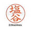 シヤチハタ ネームペン用ネーム シルバー 既製 塩谷 FC47035-X-GPS-1264