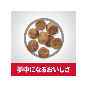 日本ヒルズ・コルゲート サイエンス・ダイエット シニア アドバンスド 小型犬用 高齢犬用 3kg FC334PJ-605018-イメージ5