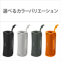 SONY SRS-ULT10 D ワイヤレスポータブルスピーカー ULT FIELD 1