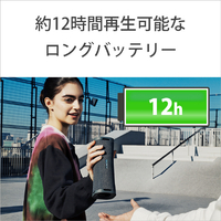 SONY SRS-ULT10 D ワイヤレスポータブルスピーカー ULT FIELD 1