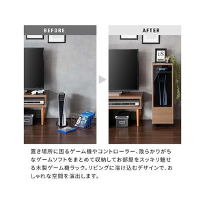 宮武製作所 ゲーム機ラック REGABO ブラウン FC931TB-GRK-003-イメージ3