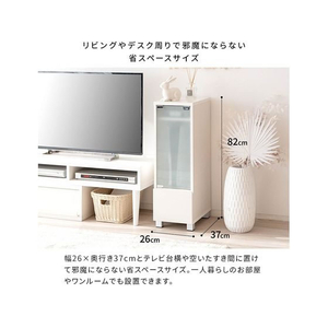 宮武製作所 ゲーム機ラック REGABO ブラウン FC931TB-GRK-003-イメージ4