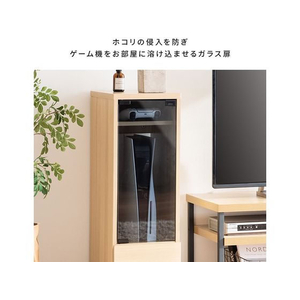 宮武製作所 ゲーム機ラック REGABO ブラウン FC931TB-GRK-003-イメージ7