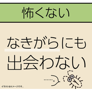 アース製薬 マモルーム ゴキブリ用 取替ボトル 2ヵ月用 45mL×2本入 FCG804V-イメージ6