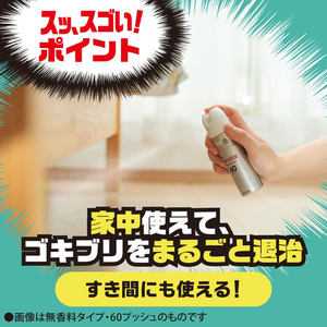 アース製薬 ゴキッシュ スッ、スゴい!ハッカの香り 60プッシュ 16mL FCG806V-イメージ6