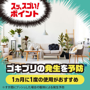 アース製薬 ゴキッシュ スッ、スゴい!ハッカの香り 60プッシュ 16mL FCG806V-イメージ7