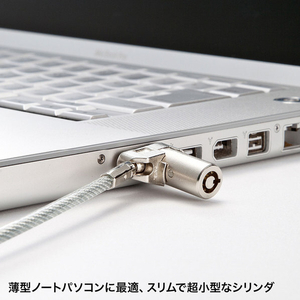 サンワサプライ 超小型シリンダセキュリティ SLE-25S-1-イメージ2