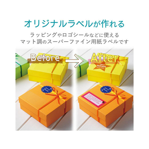 エレコム フリーカットラベル 再剥離ハイグレード紙 A4 10枚 FC09103-EDT-FKS-イメージ2