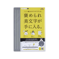レイメイ 大人の魔法のザラザラ下じき B5 FCD904L-U1256N