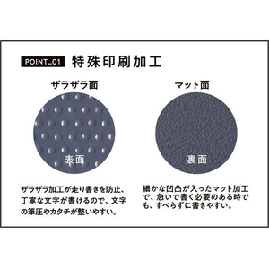 レイメイ 大人の魔法のザラザラ下じき A5 FCD905L-U1257N-イメージ5